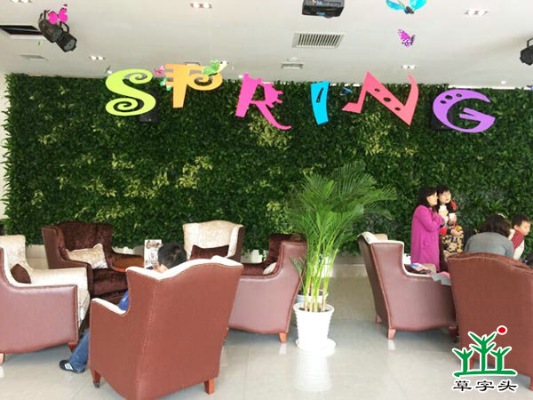 長(zhǎng)沙陽(yáng)光100——立體綠化、垂直綠化、墻體綠化、植物墻